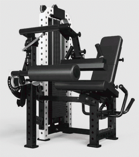 Selectorized Leg Extension and Prone Leg Curl Machine (LE11)